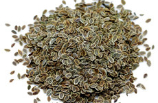 Dill Seeds.