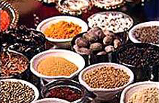 Fenugreek Seeds, Fenugreek Powder, Psyllium Seeds And Spices Like Ajwain Powder, Chilli Powder, Coriander Powder, Cumin Seeds, Cumin Powder, Dill Powder, Suva Powder And Fennel Powder.