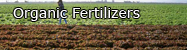 Ajwain, Chilly, Corainder, Cumin, Dill, Fennel, Psyllium, Fenugreek for Organic Fertilizers.