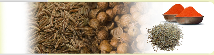 Cumin, Dill, Fennel Seeds and Powder Processor Exporter in India.